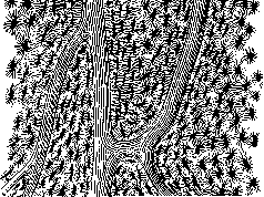 Bone: figure 3 from the 1928–1936 encyclopedia article
