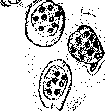 Bone: figure 8 from the 1928–1936 encyclopedia article
