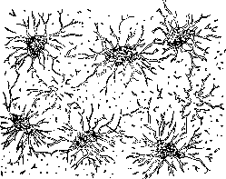 Bone: figure 1 from the 1928–1936 encyclopedia article