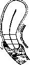 Uterus: figure 4 from the 1928–1936 encyclopedia article