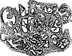 Uterus: figure 19 from the 1928–1936 encyclopedia article