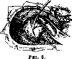 Cerebellopontine Angle: figure 5 from the 1928–1936 encyclopedia article