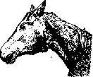 Strangles: figure 1 from the 1928–1936 encyclopedia article