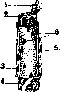 Muscular System: figure 2 from the 1928–1936 encyclopedia article