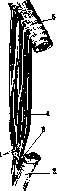 Muscular System: figure 3 from the 1928–1936 encyclopedia article