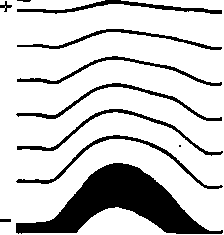 Muscles: figure 1 from the 1928–1936 encyclopedia article