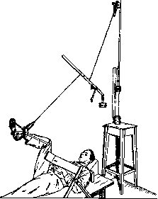 Muscles: figure 4 from the 1928–1936 encyclopedia article
