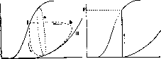 Muscles: figure 6 from the 1928–1936 encyclopedia article