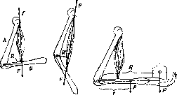 Muscles: figure 11 from the 1928–1936 encyclopedia article