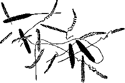 Poisonous Animals: figure 3 from the 1928–1936 encyclopedia article