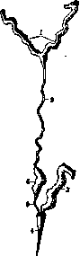 Poisonous Animals: figure 5 from the 1928–1936 encyclopedia article