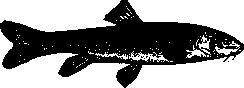 Poisonous Animals: figure 14 from the 1928–1936 encyclopedia article