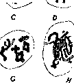 Regression: figure 15 from the 1928–1936 encyclopedia article