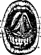 Mouth: figure 3 from the 1928–1936 encyclopedia article