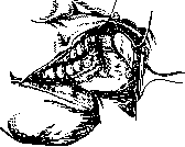 Mouth: figure 11 from the 1928–1936 encyclopedia article