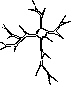 Taxonomy: figure 3 from the 1928–1936 encyclopedia article