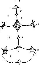Parietal Bone: figure 2 from the 1928–1936 encyclopedia article