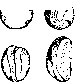Temperature: figure 3 from the 1928–1936 encyclopedia article