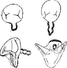Temperature: figure 1 from the 1928–1936 encyclopedia article