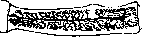 Teniidosis: figure 7 from the 1928–1936 encyclopedia article