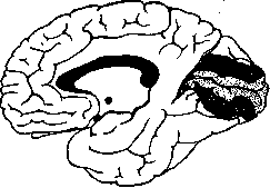 Area: figure 2 from the 1928–1936 encyclopedia article