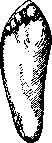 Hallux Valgus: figure 4 from the 1928–1936 encyclopedia article