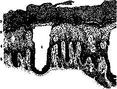 Larva (Ml GRANS, "bluzhdayushchaya lichinka",): figure 3 from the 1928–1936 encyclopedia article
