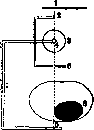 Ortho: figure 1 from the 1928–1936 encyclopedia article