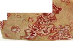 Pemphigus: figure 4 from the 1928–1936 encyclopedia article