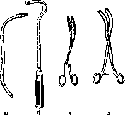 Pulmonary Artery: figure 6 from the 1928–1936 encyclopedia article
