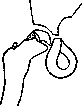 Valvula: figure 1 from the 1928–1936 encyclopedia article
