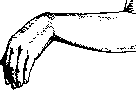 Radial Nerve: figure 3 from the 1928–1936 encyclopedia article
