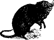 TULAREMIA: figure 1 from the 1928–1936 encyclopedia article