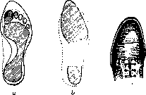 Footwear: figure 4 from the 1928–1936 encyclopedia article