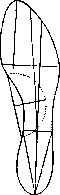 Footwear: figure 3 from the 1928–1936 encyclopedia article