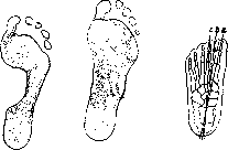 Footwear: figure 2 from the 1928–1936 encyclopedia article