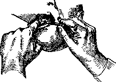 Teeth: figure 26 from the 1928–1936 encyclopedia article