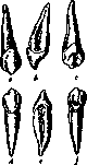 Teeth: figure 5 from the 1928–1936 encyclopedia article