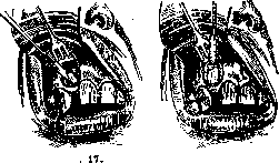 Teeth: figure 33 from the 1928–1936 encyclopedia article