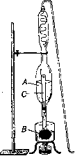 Syphacia Obvelata: figure 2 from the 1928–1936 encyclopedia article