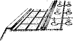 Irrigation Fields: figure 11 from the 1928–1936 encyclopedia article