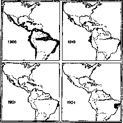 Yellow Fever: figure 1 from the 1928–1936 encyclopedia article