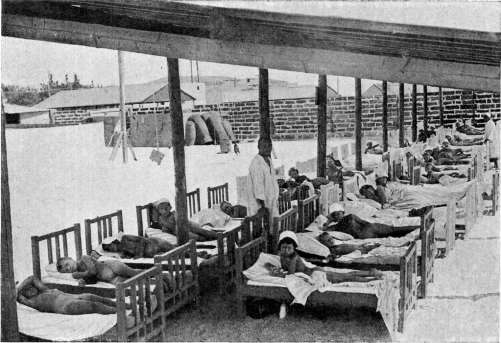 Eunuchoidism: figure 4 from the 1928–1936 encyclopedia article