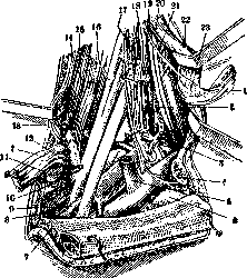 Stupor: figure 5 from the 1928–1936 encyclopedia article