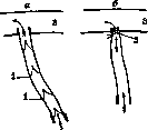 Blood Vessels (525): figure 22 from the 1928–1936 encyclopedia article