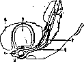 Esophagus: figure 12 from the 1928–1936 encyclopedia article