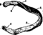 Ribs: figure 5 from the 1928–1936 encyclopedia article