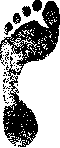 Flatfoot: figure 3 from the 1928–1936 encyclopedia article