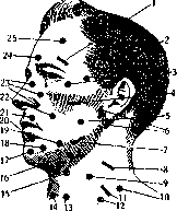 Electrodiagnosis: figure 3 from the 1928–1936 encyclopedia article