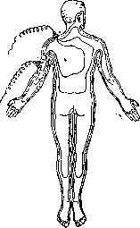 Electrodiagnosis: figure 2 from the 1928–1936 encyclopedia article